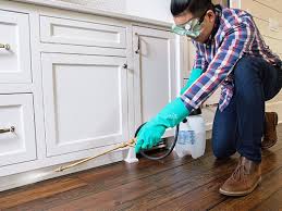 Best Pest Control for Multi-Family Homes  in Burlington, NC